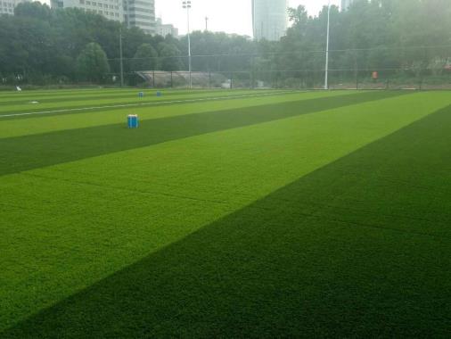 免填充足球场人造草坪案例